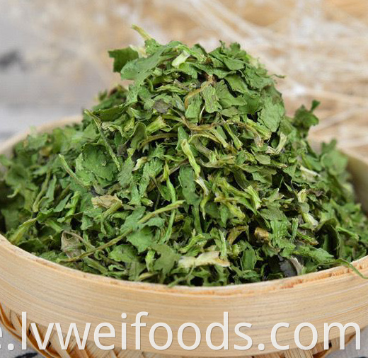 Dehydrated Coriander 10 10mm